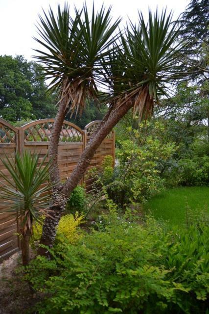 Le Logis De Saint-Martin Bed & Breakfast Haute-Goulaine Exterior foto